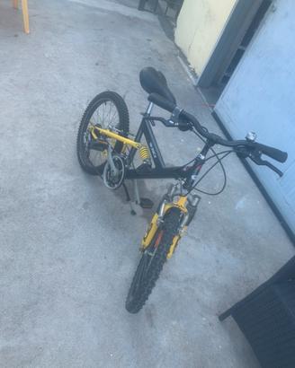 Bicicletta bambini 20”