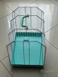 Gabbia Trasportino