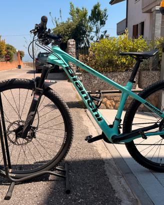 Bianchi methanol sx