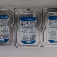 hard Disk da 3.5" 500GB Western Digital  Blue