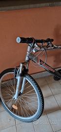 bici maximum 980