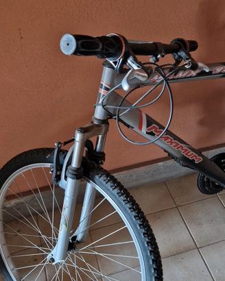 bici maximum 980