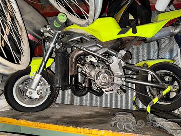 Minimoto racing 50
