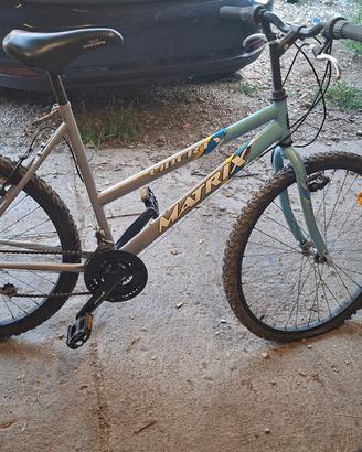 Bicicletta