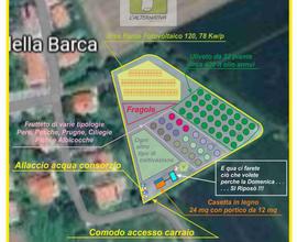 Parco Eden «Energia Natura Libertà»