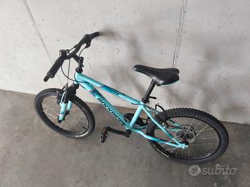 bicicletta 