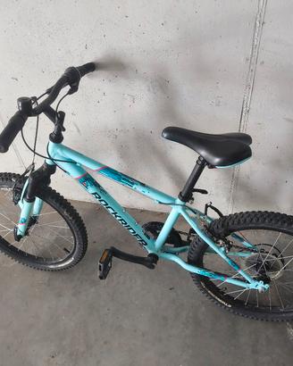 bicicletta 