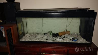 Acquario grande 120 cm completo di accessori