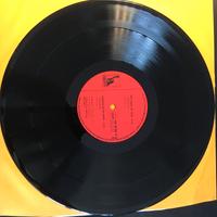 AMON DUUL YETI - UN SOLO DISCO