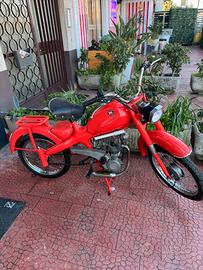 Motom