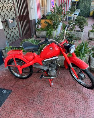 Motom