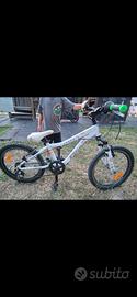 bicicletta 20 pollici 
