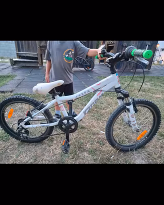 bicicletta 20 pollici 