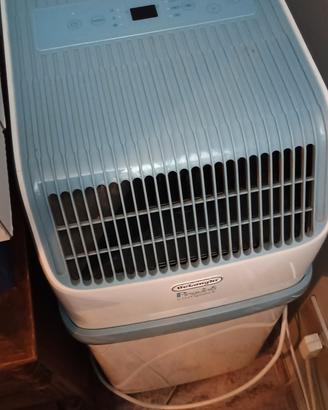 Pinguino de longhi 