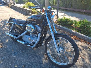 HARLEY DAVIDSON 883 CUSTOM