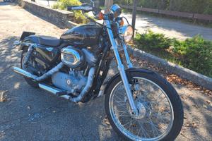 HARLEY DAVIDSON 883 CUSTOM