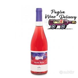 VINO ROSATO NEGROAMARO PUGLIA FELLINE, CICALA ROSè