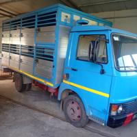 Camion trasporto animali