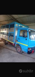 Camion trasporto animali