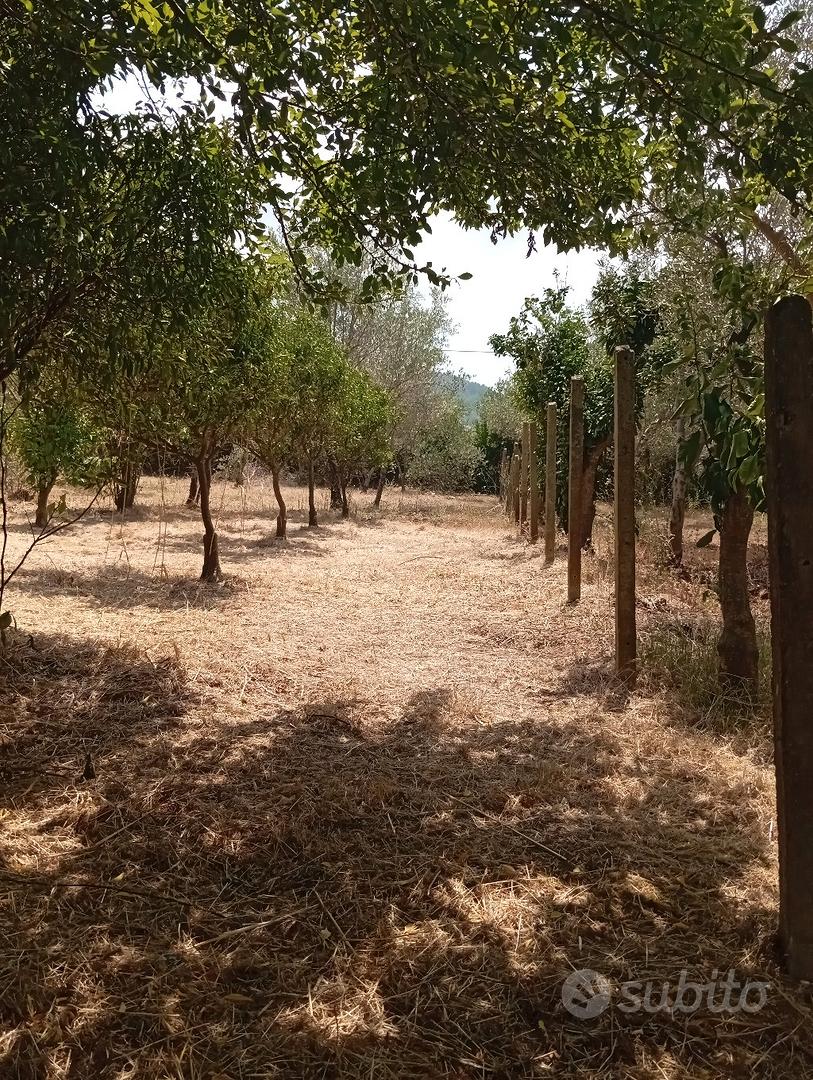 Appartamento – Filadelfia, Vibo Valentia - Vista 3