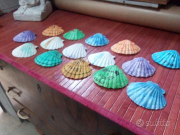 Conchiglie da colorare