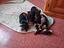 Immagine 1