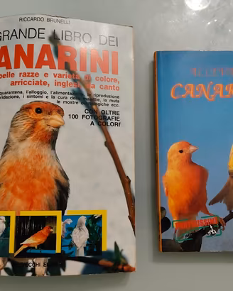 Lotto 2 libri vintage Allevamento Canarini