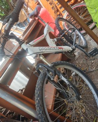 bicicletta magnum 24