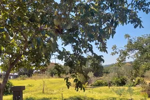 Terreno in aff