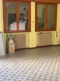 Termosifoni in ghisa