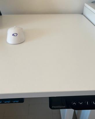 Scrivania elettrica flexispot bianca 120x60