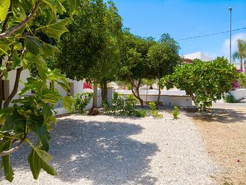 CASA in SALENTO ultime disponibilità per AGOSTO