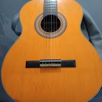 Chitarra classica salterio