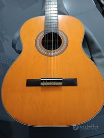 Chitarra classica salterio