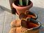 Immagine 3