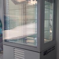 vetrina frigo 