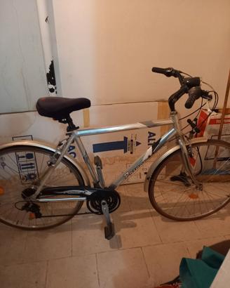 bicicletta da uomo.