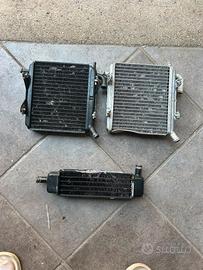 radiatorori-set carene completo-cerchi Aprila SR