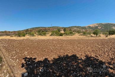Terreno edificabile 20.000 mq San Giovanni R.