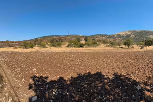 Terreno edificabile 20.000 mq San Giovanni R.