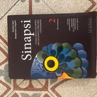 Sinapsi 2