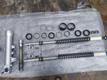 Set completo forcella anteriore Suzuki SV1000 S