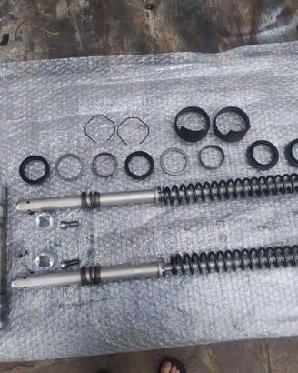 Set completo forcella anteriore Suzuki SV1000 S