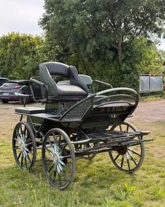 Carrozza Maratona 