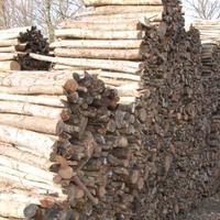 legna da ardere in balle da 10 Qt 