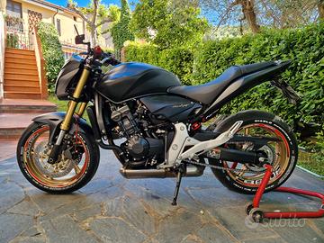 Hornet 600 2013