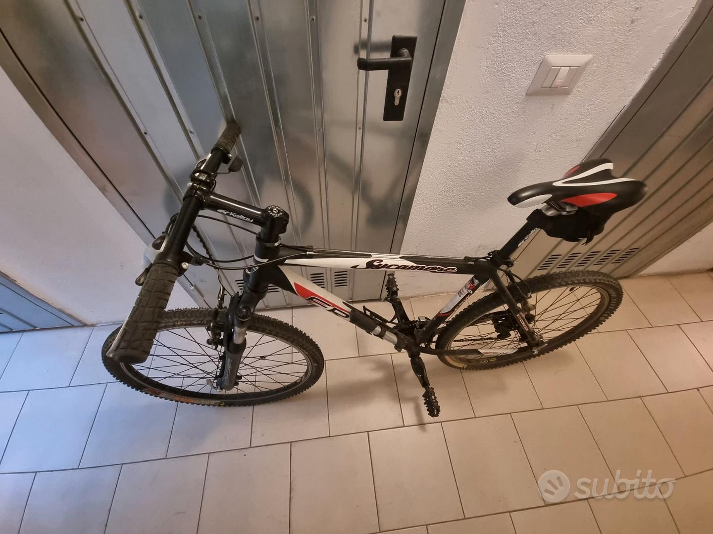 MTB FRW Sycamore – Telaio 19