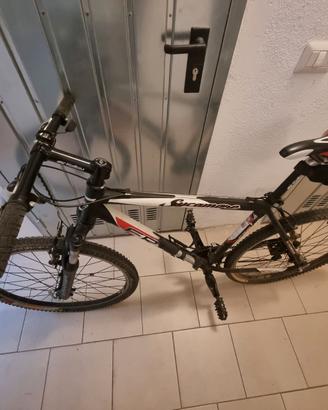 MTB FRW Sycamore – Telaio 19" - Tg. M - Ruote 26"