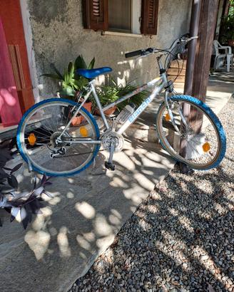 bicicletta mountain bike Bianchi + 1