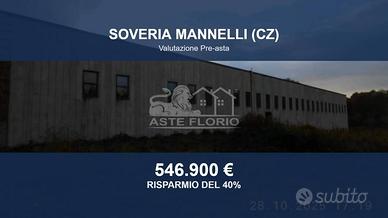Immobile in asta di 5721 m² a Soveria Mannelli